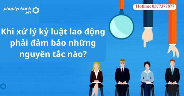 Khi xử lý kỷ luật lao động phải đảm bảo những nguyên tắc nào? 1 Khi xử lý kỷ luật lao động phải đảm bảo những nguyên tắc nào?