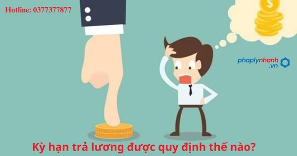 Kỳ hạn trả lương được quy định thế nào? 1 Kỳ hạn trả lương được quy định thế nào?