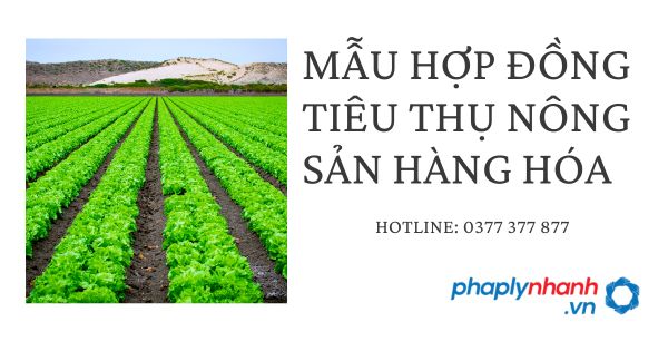 Chia sẻ mẫu hợp đồng tiêu thụ nông sản hàng hóa 17 Chia sẻ mẫu hợp đồng tiêu thụ nông sản hàng hóa