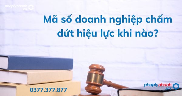Mã số doanh nghiệp chấm dứt hiệu lực khi nào? 1 Mã số doanh nghiệp chấm dứt hiệu lực khi nào - tư vấn hỗ trợ pháp lý nhanh
