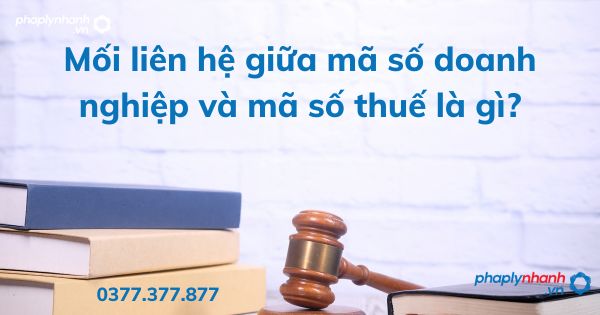 Mối liên hệ giữa mã số doanh nghiệp và mã số thuế là gì? 1 Mối liên hệ giữa mã số doanh nghiệp và mã số thuế là gì - tư vấn hỗ trợ pháp lý nhanh