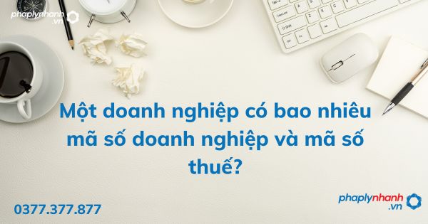 Một doanh nghiệp có bao nhiêu mã số doanh nghiệp và mã số thuế? 1 Một doanh nghiệp có bao nhiêu mã số doanh nghiệp và mã số thuế - tư vấn hỗ trợ pháp lý nhanh