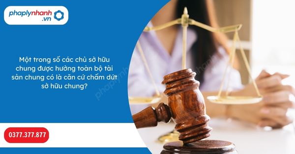 Một trong số các chủ sở hữu chung được hưởng toàn bộ tài sản chung có là căn cứ chấm dứt sở hữu chung? 1 Một trong số các chủ sở hữu chung được hưởng toàn bộ tài sản chung có là căn cứ chấm dứt sở hữu chung-Hỗ trợ, tư vấn pháp lý nhanh