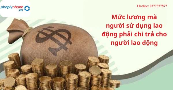 Mức lương mà người sử dụng lao động phải chi trả cho người lao động được quy định thế nào? 1 Mức lương mà người sử dụng lao động phải chi trả cho người lao động được quy định thế nào?
