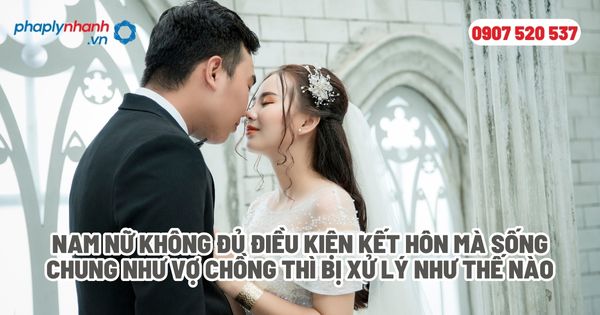 Nam nữ đủ điều kiện kết hôn mà sống chung như vợ chồng thì bị xử lý như thế nào? 1 Nam nữ không đủ điều kiện kết hôn mà sống chung như vợ chồng thì bị xử lý như thế nào - Tư vấn, hỗ trợ pháp lý nhanh