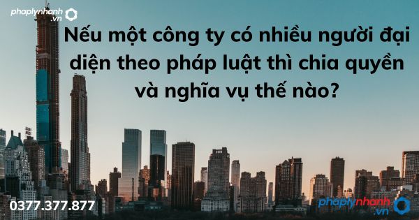 Nếu một công ty có nhiều người đại diện theo pháp luật thì chia quyền và nghĩa vụ thế nào? 1 Nếu một công ty có nhiều người đại diện theo pháp luật thì chia quyền và nghĩa vụ thế nào - tư vấn hỗ trợ pháp lý nhanh