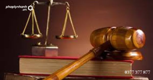 Người bảo vệ quyền và lợi ích hợp pháp của đương sự có quyền, nghĩa vụ như thế nào - Tư vấn, hỗ trợ pháp lý nhanh