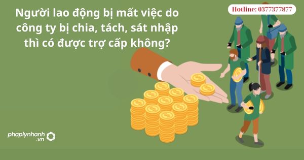 Người lao động bị mất việc do công ty bị chia, tách, sát nhập thì có được trợ cấp không? 1 Người lao động bị mất việc do công ty bị chia, tách, sát nhập thì có được trợ cấp không?