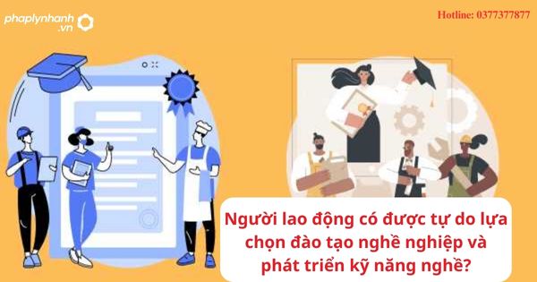 Người lao động có được tự do lựa chọn đào tạo nghề nghiệp và phát triển kỹ năng nghề? 1 Người lao động có được tự do lựa chọn đào tạo nghề nghiệp và phát triển kỹ năng nghề?