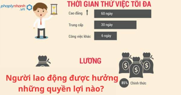 Người lao động được hưởng những quyền lợi nào? Chính sách của Nhà nước đối với người lao động? 3 Người lao động được hưởng những quyền lợi nào