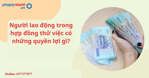 Người lao động trong hợp đồng thử việc có những quyền lợi gì? 1 Người lao động trong hợp đồng thử việc có những quyền lợi gì?