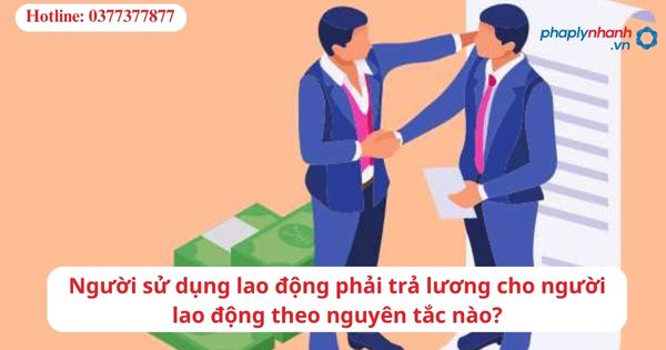 Người sử dụng lao động phải trả lương cho người lao động theo nguyên tắc nào? 1 Người sử dụng lao động phải trả lương cho người lao động theo nguyên tắc nào?