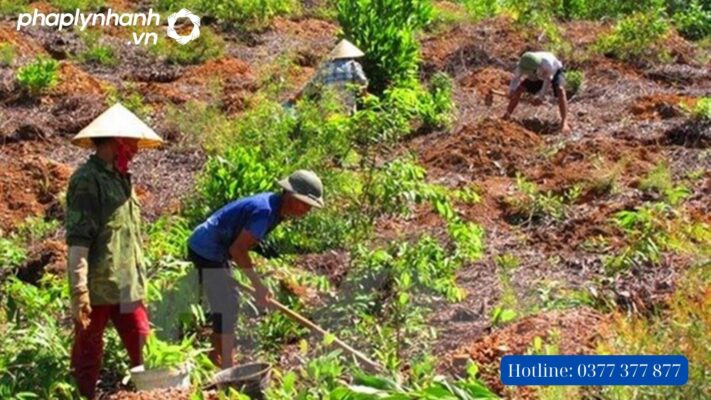 Phạm tội Lấn chiếm đất chưa sử dụng thì bị xử lý như thế nào? 1 Lấn chiếm đất chưa sử dụng-tư vấn, hỗ trợ pháp lý nhanh