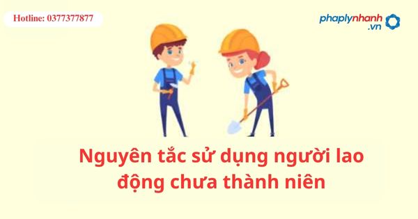 Nguyên tắc sử dụng người lao động chưa thành niên 1 Nguyên tắc sử dụng người lao động chưa thành niên
