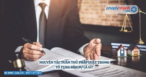 Nguyên tắc tuân thủ pháp luật trong tố tụng dân sự là gì? 1 Nguyên tắc tuân thủ pháp luật trong tố tụng dân sự là gì - Tư vấn, hỗ trợ pháp lý nhanh