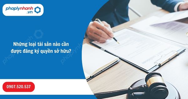 Những loại tài sản nào cần được đăng ký quyền sở hữu? 1 Những loại tài sản nào cần được đăng ký quyền sở hữu-Hỗ trợ, tư vấn pháp lý nhanh