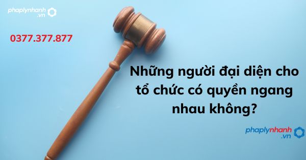 Những người đại diện cho tổ chức có quyền ngang nhau không? 1 Những người đại diện cho tổ chức có quyền ngang nhau không - tư vấn hỗ trợ pháp lý nhanh