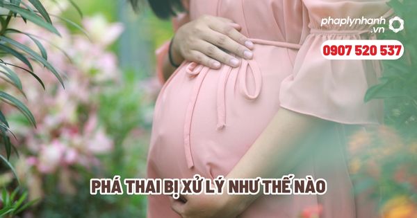 Phá thai bị xử lý như thế nào - Tư vấn, hỗ trợ pháp lý nhanh