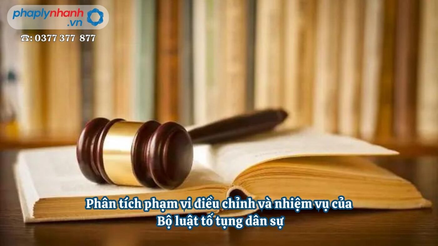 Phân tích phạm vi điều chỉnh và nhiệm vụ của Bộ luật tố tụng dân sự 1 Phân tích phạm vi điều chỉnh và nhiệm vụ của Bộ luật tố tụng dân sự - Tư vấn, hỗ trợ pháp lý nhanh