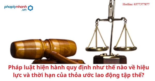 Pháp luật hiện hành quy định như thế nào về hiệu lực và thời hạn của thỏa ước lao động tập thể? 1 Pháp luật hiện hành quy định như thế nào về hiệu lực và thời hạn của thỏa ước lao động tập thể?