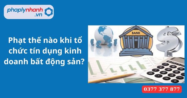 Phạt thế nào khi tổ chức tín dụng kinh doanh bất động sản? 19 Phạt thế nào khi tổ chức tín dụng kinh doanh bất động sản