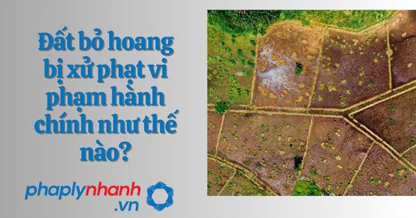 Đất bỏ hoang bị xử phạt vi phạm hành chính như thế nào? 1 Đất bỏ hoang bị xử phạt vi phạm hành chính như thế nào?