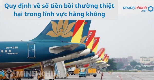 Quy định về số tiền bồi thường thiệt hại trong lĩnh vực hàng không 7 Quy định về số tiền bồi thường thiệt hại trong lĩnh vực hàng không