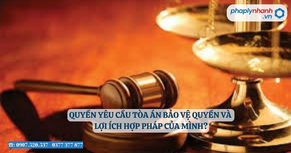 Quyền yêu cầu Tòa án bảo vệ quyền và lợi ích hợp pháp của mình? 12 Quyền yêu cầu Tòa án bảo vệ quyền và lợi ích hợp pháp của mình - Tư vấn, hỗ trợ pháp lý nhanh