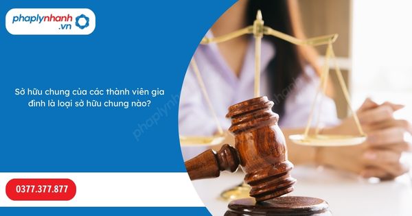 Sở hữu chung của các thành viên gia đình là loại sở hữu chung nào? 1 Sở hữu chung của các thành viên gia đình là loại sở hữu chung nào-Hỗ trợ, tư vấn pháp lý nhanh