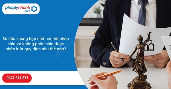 Sở hữu chung hợp nhất có thể phân chia và không phân chia được pháp luật quy định như thế nào? 1 Sở hữu chung hợp nhất có thể phân chia và không phân chia được pháp luật quy định như thế nào-Hỗ trợ, tư vấn pháp lý nhanh