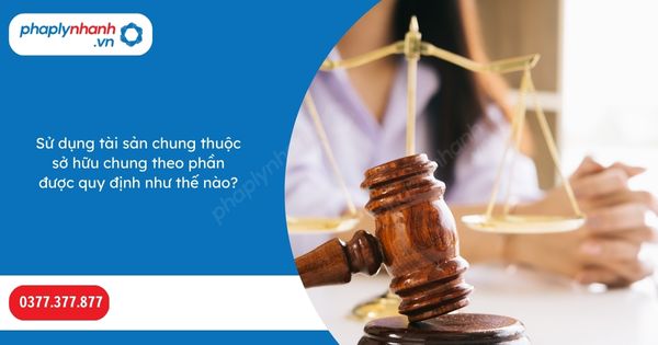 Sử dụng tài sản chung thuộc sở hữu chung theo phần được quy định như thế nào? 1 Sử dụng tài sản chung thuộc sở hữu chung theo phần được quy định như thế nào-Hỗ trợ, tư vấn pháp lý nhanh