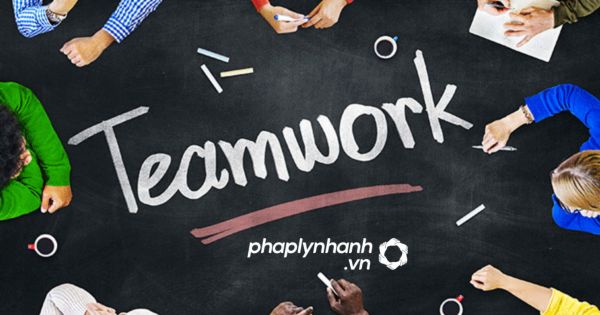 Những kĩ năng sinh viên ngành luật nên có 3 Kỹ năng làm việc nhóm