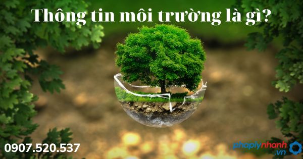 Thông tin môi trường là gì? 1 Thông tin môi trường - tư vấn hỗ trợ pháp lý nhanh