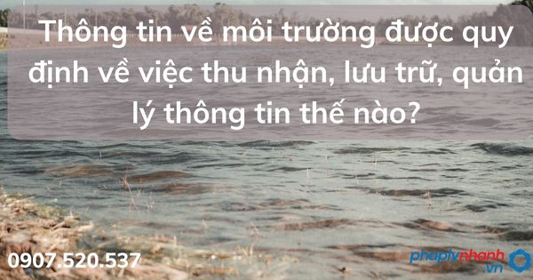 Thông tin về môi trường được quy định về việc thu nhận, lưu trữ, quản lý thông tin thế nào? 1 Thông tin về môi trường được quy định về việc thu nhận, lưu trữ, quản lý thông tin thế nào - tư vấn hỗ trợ pháp lý nhanh