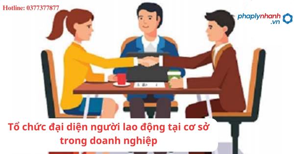 Quyền thương lượng tập thể của tổ chức đại diện người lao động tại cơ sở trong doanh nghiệp 1 Quyền thương lượng tập thể của tổ chức đại diện người lao động tại cơ sở trong doanh nghiệp