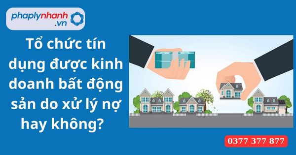 Đối với Tổ chức tín dụng được kinh doanh bất động sản do xử lý nợ hay không? 9 Tổ chức tín dụng được kinh doanh bất động sản do xử lý nợ hay không