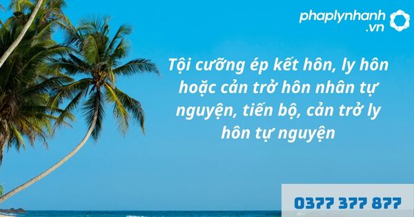 Tội cưỡng ép kết hôn, ly hôn hoặc cản trở hôn nhân tự nguyện, tiến bộ, cản trở ly hôn tự nguyện được quy định như nào? 1 Tội cưỡng ép kết hôn, ly hôn hoặc cản trở hôn nhân tự nguyện, tiến bộ, cản trở ly hôn tự nguyện - hỗ trợ, tư vấn pháp lý nhanh