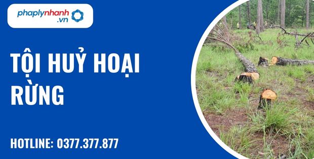 Tội huỷ hoại rừng là gì? Quy định về tội hủy hoại rừng như thế nào? 1 Tội huỷ hoại rừng - hỗ trợ, tư vấn pháp lý nhanh