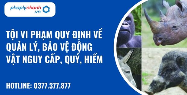 Quy định về tội vi phạm quy định về quản lý, bảo vệ động vật nguy cấp, quý, hiếm như thế nào? 1 Tội vi phạm quy định về quản lý, bảo vệ động vật nguy cấp, quý, hiếm - hỗ trợ, tư vấn pháp lý nhanh