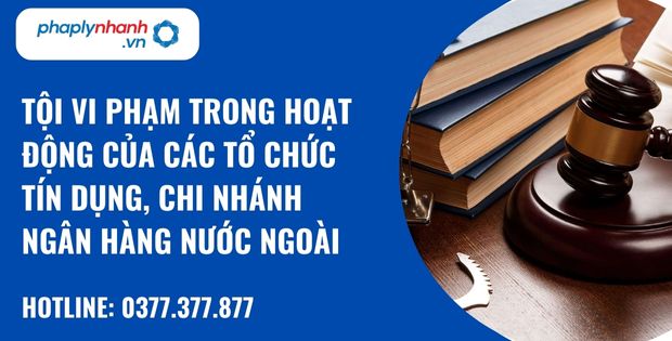 Quy định về tội vi phạm quy định trong hoạt động của các tổ chức tín dụng, chi nhánh ngân hàng nước ngoài? 28 Tội vi phạm trong hoạt động của các tổ chức tín dụng, chi nhánh ngân hàng nước ngoài - hỗ trợ, tư vấn pháp lý nhanh