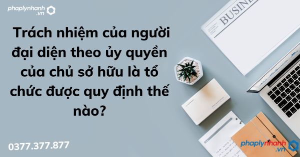 Trách nhiệm của người đại diện theo ủy quyền của chủ sở hữu là tổ chức được quy định thế nào? 1 Trách nhiệm của người đại diện theo ủy quyền của chủ sở hữu là tổ chức được quy định thế nào - tư vấn hỗ trợ pháp lý nhanh