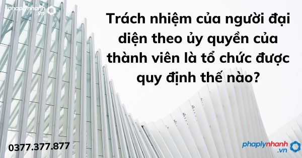 Trách nhiệm của người đại diện theo ủy quyền của thành viên là tổ chức được quy định thế nào? 1 Trách nhiệm của người đại diện theo ủy quyền của thành viên là tổ chức được quy định thế nào - tư vấn hỗ trợ pháp lý nhanh