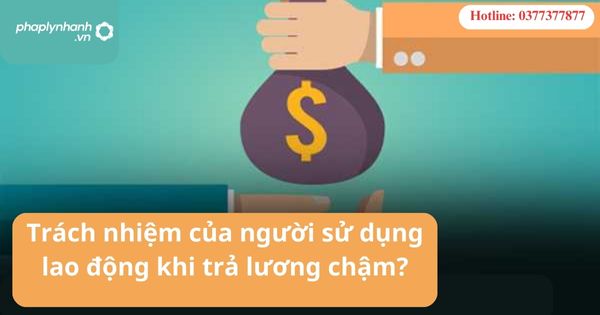 Khi trả lương chậm người sử dụng lao động có trách nhiệm gì? 1 Khi trả lương chậm người sử dụng lao động có trách nhiệm gì?