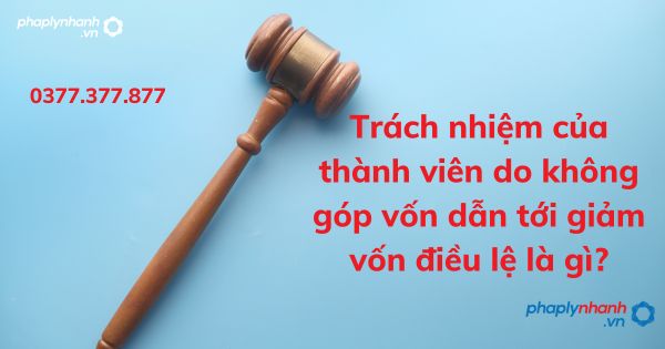 Giảm vốn điều lệ: Trách nhiệm của thành viên do không góp vốn dẫn tới giảm vốn điều lệ là gì? 1 Trách nhiệm của thành viên do không góp vốn dẫn tới giảm vốn điều lệ là gì - tư vấn hỗ trợ pháp lý nhanh