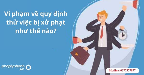 Vi phạm về quy định thử việc bị xử phạt như thế nào? 9 Vi phạm về quy định thử việc bị xử phạt như thế nào?