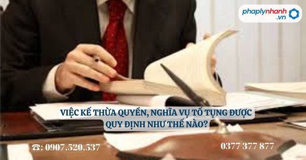 Việc kế thừa quyền, nghĩa vụ tố tụng được quy định như thế nào? 1 Việc kế thừa quyền, nghĩa vụ tố tụng được quy định như thế nào -Tư vấn, hỗ trợ pháp lý nhanh