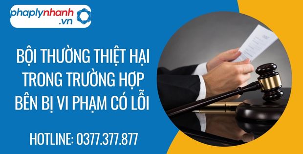 Bồi thường thiệt hại trong trường hợp bên bị vi phạm có lỗi 1 bội thường thiệt hại trong trường hợp bên bị vi phạm có lỗi - Tư vấn hỗ trợ phaplynhanh