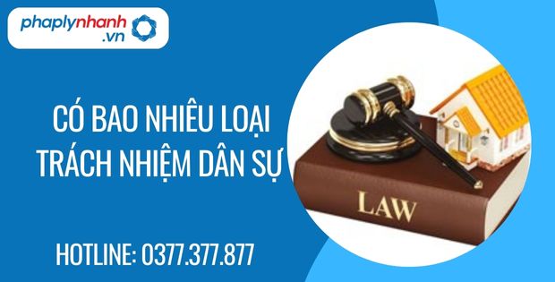 Có bao nhiêu loại trách nhiệm dân sự 1 có bao nhiêu loại trách nhiệm dân sự - Tư vấn hỗ trợ phaplynhanh