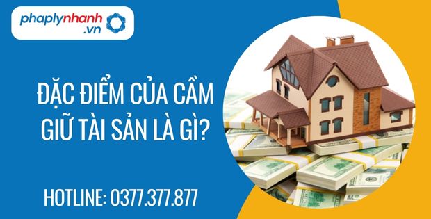 Đặc điểm của cầm giữ tài sản là gì? 1 đặc điểm của cầm giữ tài sản là gì - Tư vấn hỗ trợ phaplynhanh