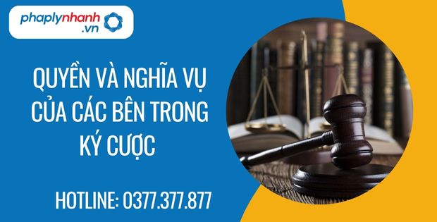 Quyền và nghĩa vụ của các bên trong ký cược 1 quyền và nghĩa vụ của các bên trong ký cược - Tư vấn hỗ trợ phaplynhanh